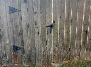 Roxie S.'s turf maintenance service result