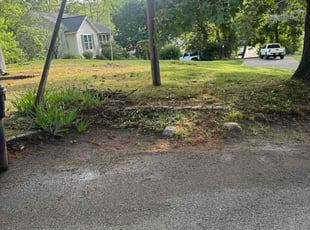 Loni W.'s lawn service service result
