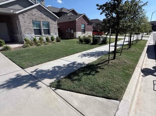 Anthony N.'s grass cutting service result