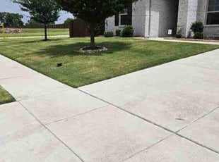 Deann L.'s lawn care service result