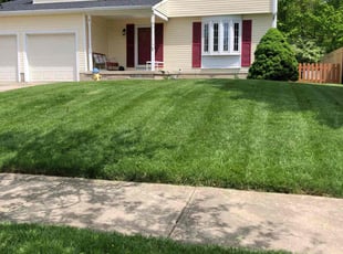 Kayla B.'s turf maintenance service result