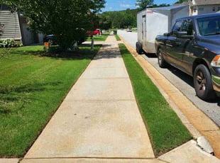 Angellech B.'s grass cutting service result