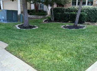 Clara M.'s lawn service service result