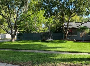 Antoan G.'s lawn service service result