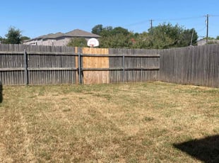 Allesia P.'s lawn care services service result