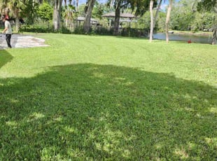 Derek N.'s turf maintenance service result