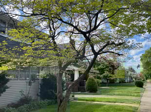 Heather W.'s lawn maintenance service result