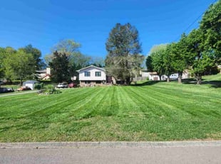 Mars S.'s lawn care service result