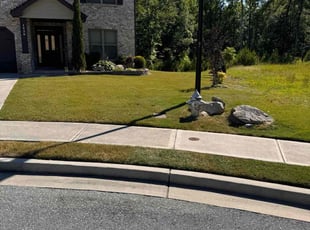 Marcquez F.'s grass maintenance service result