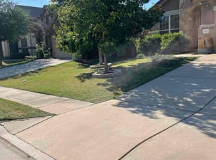 Bobbi D.'s grass cutting service result