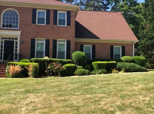 Rhonda W.'s Bush Trimming service result