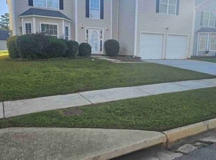 Kiya L.'s turf care service result