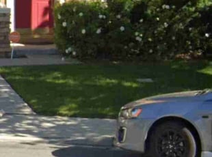 Vernon H.'s lawn care service result