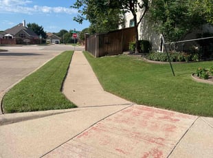Sharon J.'s lawn service service result