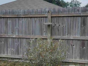 Donna W.'s Bush Trimming service result