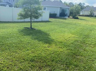 Samuel E.'s lawn service service result