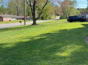 Latoshia J.'s lawn care services service result