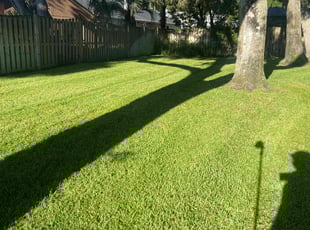 Scott E.'s landscape maintenance service result