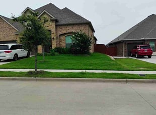 Aaron M.'s lawn service service result