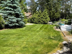 Becky B.'s lawn care service result