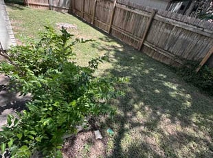 Ainsley M.'s lawn care services service result