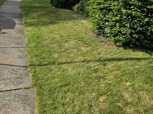 Kendra R.'s lawn maintenance service result