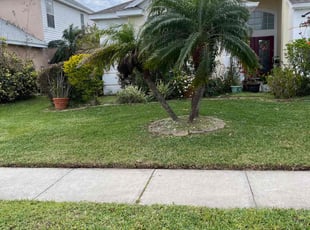 Emma E.'s turf maintenance service result