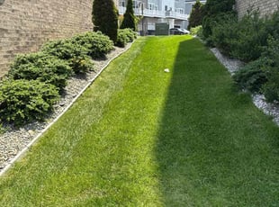 Nick H.'s grass cutting service result