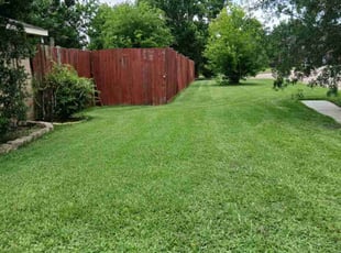 Britney S.'s turf care service result
