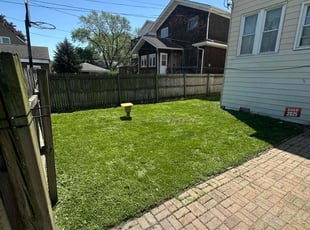David K.'s turf care service result