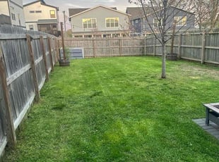 Teresa B.'s lawn care service result