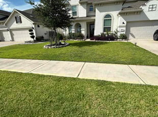 James C.'s lawn care service result