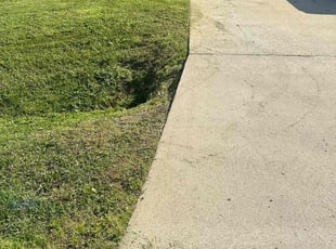 Jacqueline B.'s lawn care services service result