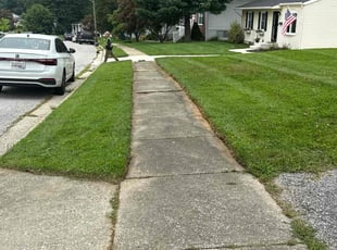 Cody M.'s lawn care service result