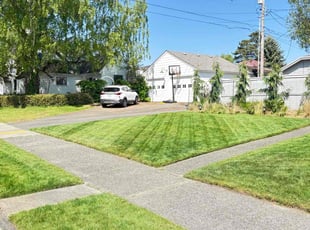 Amy S.'s grass cutting service result