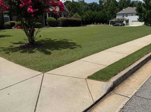 Jeffrey W.'s lawn care services service result