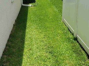 Tyra W.'s yard care service result