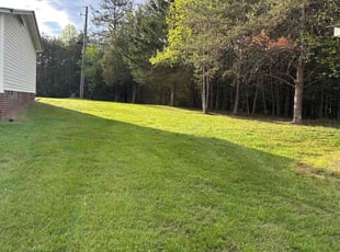 Debbie S.'s turf maintenance service result