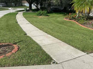 Dante S.'s lawn service service result