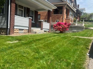David H.'s lawn care service result