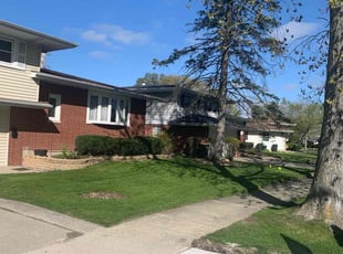 Patrick H.'s turf maintenance service result