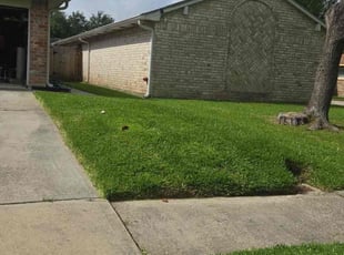 Bill H.'s lawn maintenance service result
