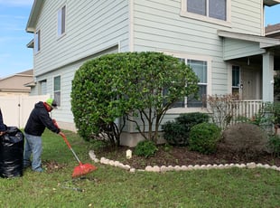 Douglas D.'s Bush Trimming service result