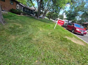 Rose B.'s grass maintenance service result