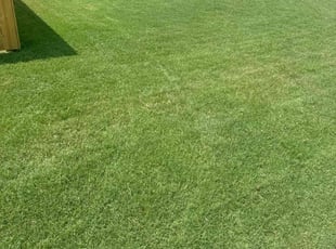 Jordan P.'s turf maintenance service result