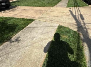 John B.'s grass maintenance service result