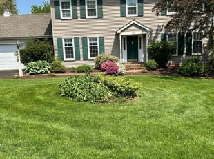 Kim N.'s grass maintenance service result