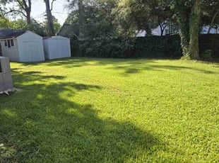 Tyler C.'s lawn care service result