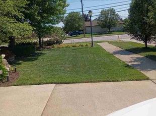 Sapphire H.'s turf maintenance service result