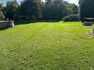 David R.'s turf care service result